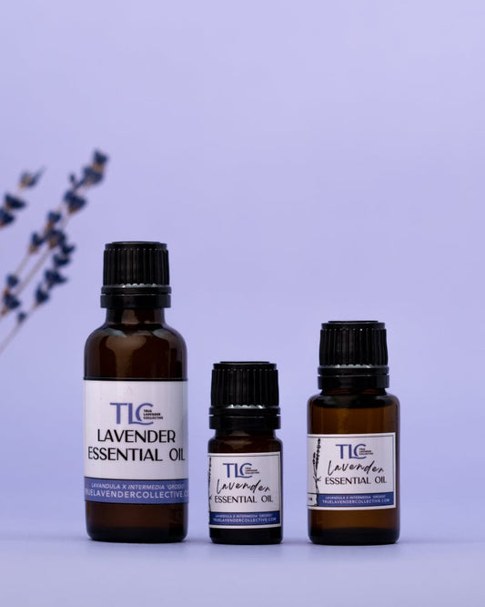 True Lavender Collective Lavender Essential Oil 'Grosso'