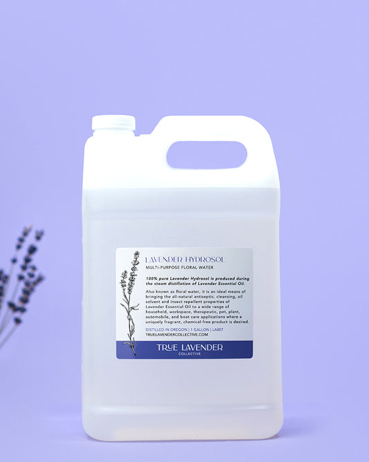 True Lavender Collective 1 Gallon Lavender Hydrosol 'Grosso'