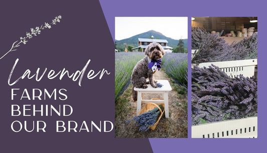 Meet the Farms Behind Our Brand