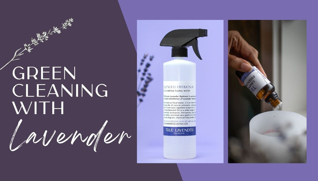 Green Cleaning with Lavender