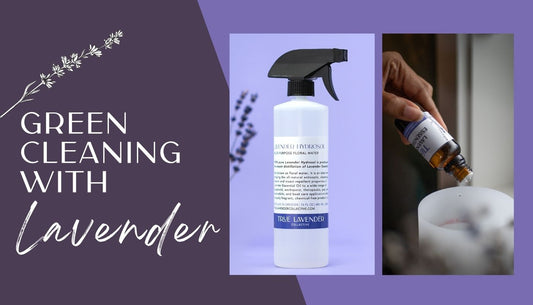 Green Cleaning with Lavender