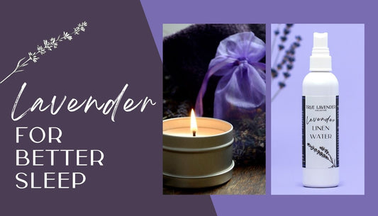 Lavender for Better Sleep