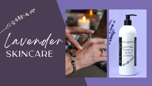 Unlock the Secrets of Lavender Skincare