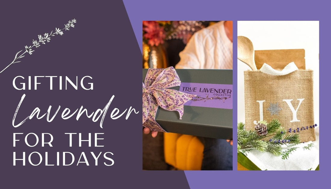 Gifting Lavender for the Holidays