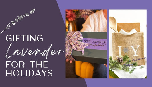 Gifting Lavender for the Holidays