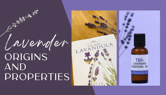 The Versatile Properties of Lavender