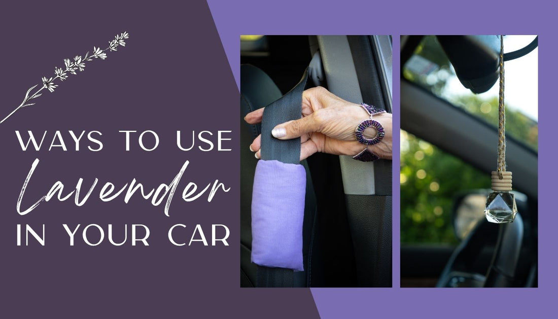 8 Ways to Use Lavender in Your Car