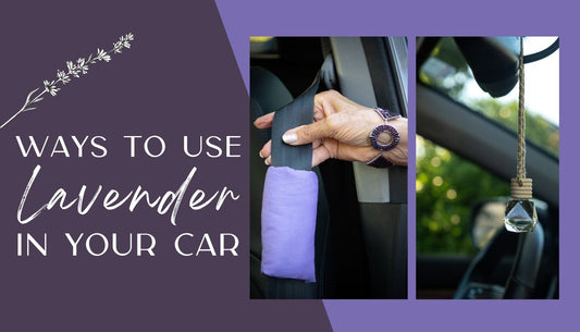 8 Ways to Use Lavender in Your Car