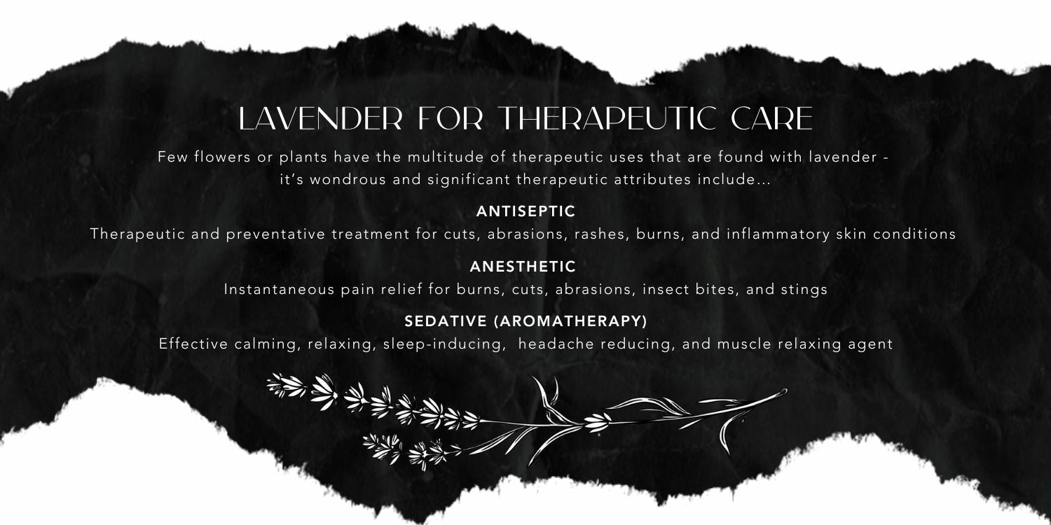 Lavender for Therapeutic Care Collection Highlights