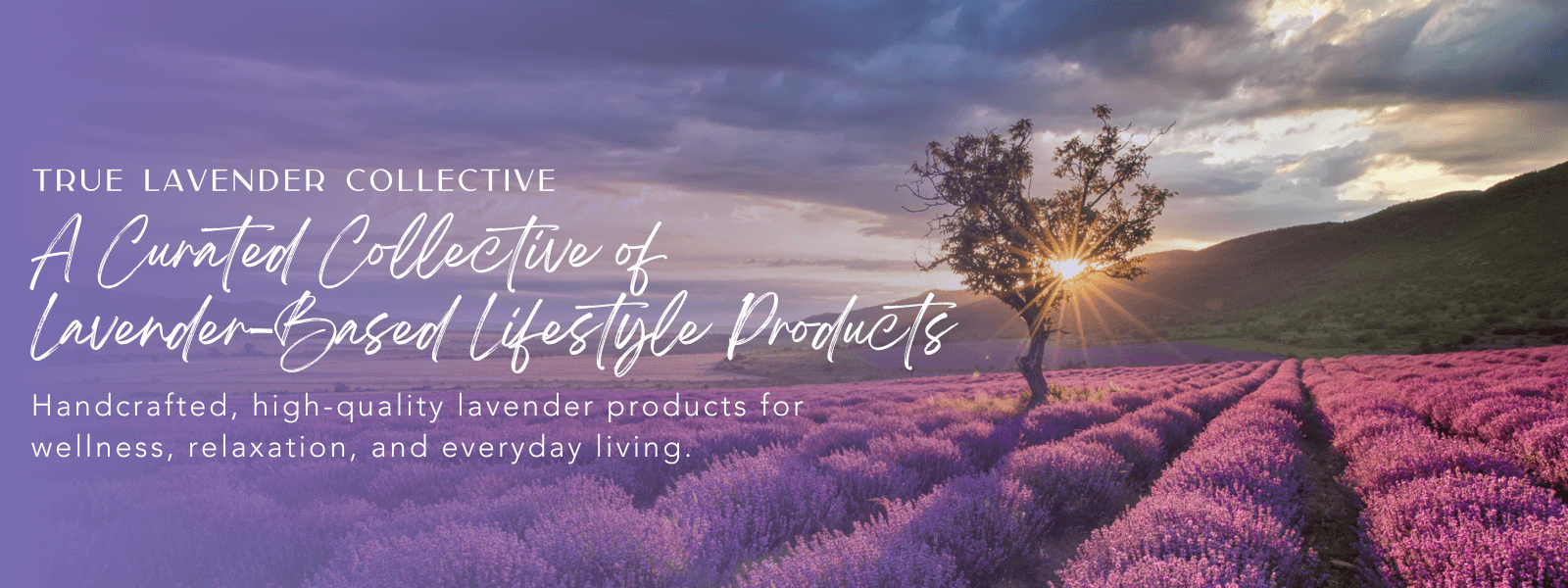 true-lavender-collective-curated-lifestyle