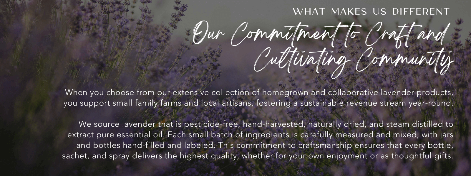 true-lavender-collective-what-makes-us-different