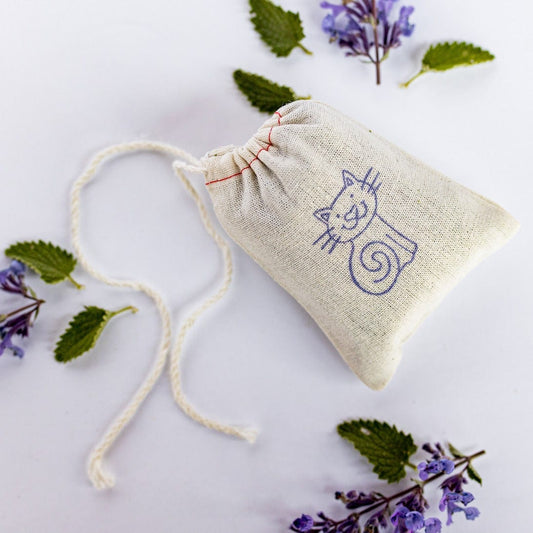 Applegate River Lavender Farm Kitty Catmint