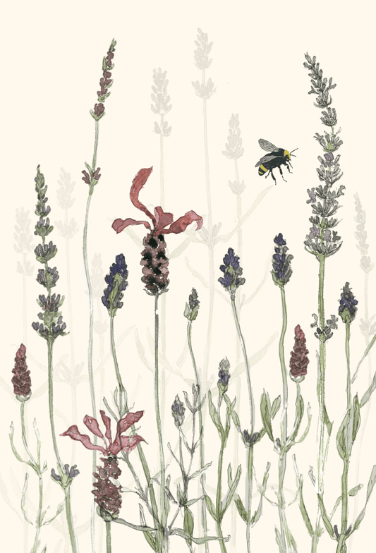 Leafy Lexicon Greeting Card - "Lavender and Bee" by Perrin