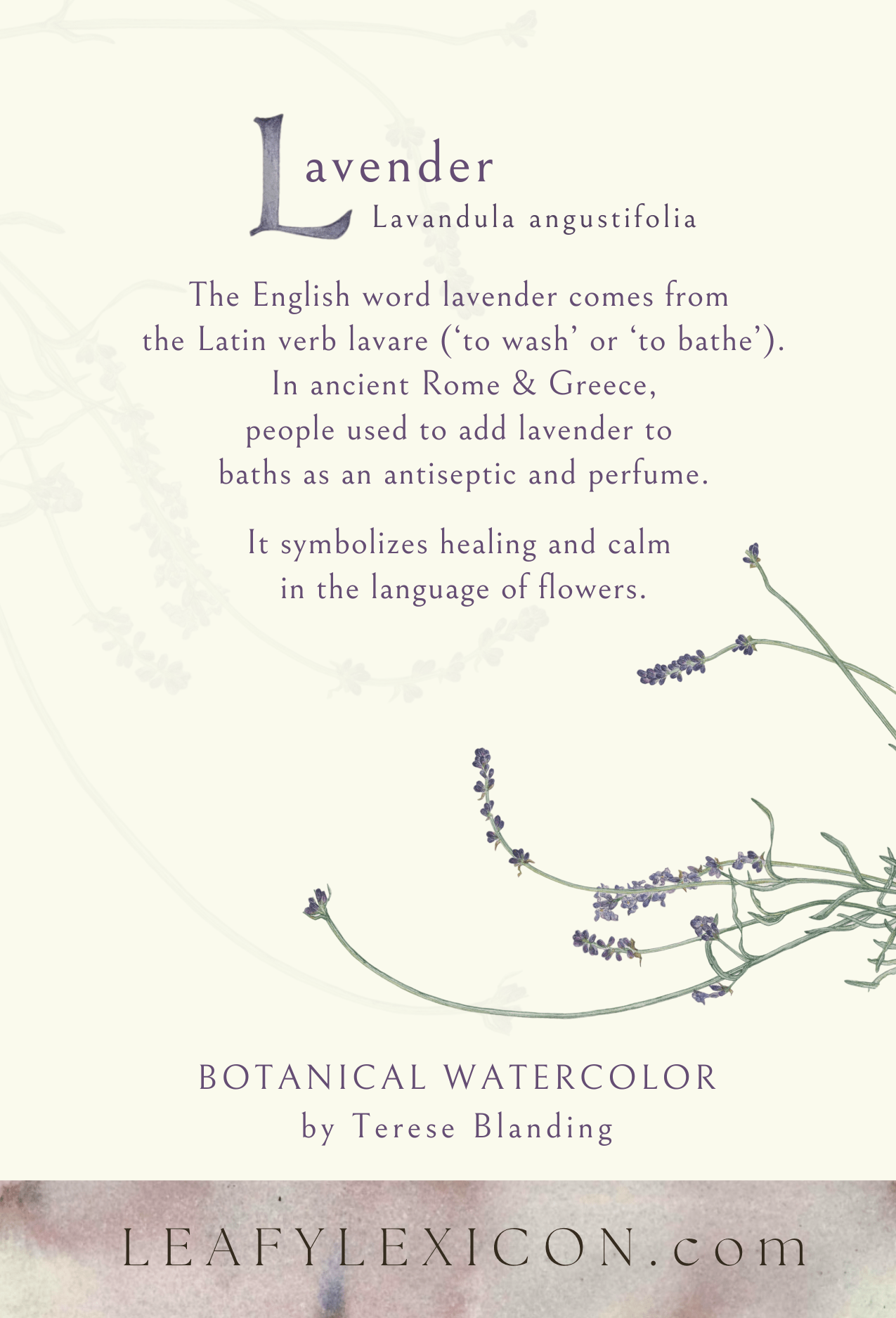 Leafy Lexicon Greeting Card - "Lavender Watercolor" by Blanding
