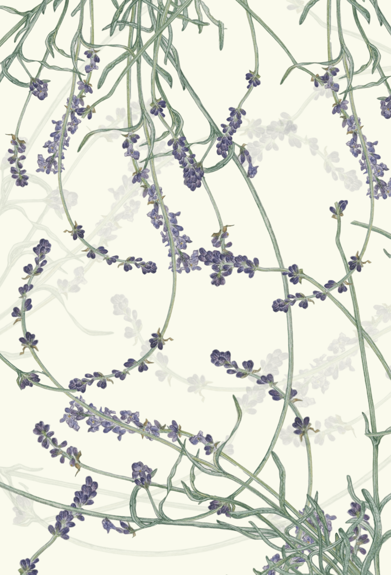 Leafy Lexicon Greeting Card - "Lavender Watercolor" by Blanding