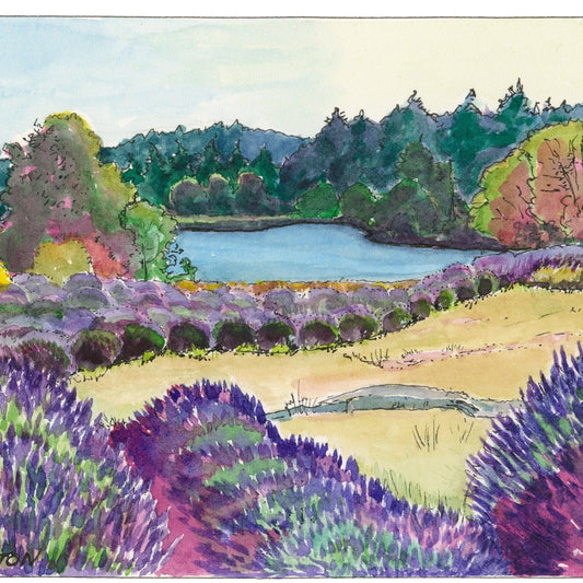 Pelindaba Lavender Print - "July at Pelindaba" - Johnston