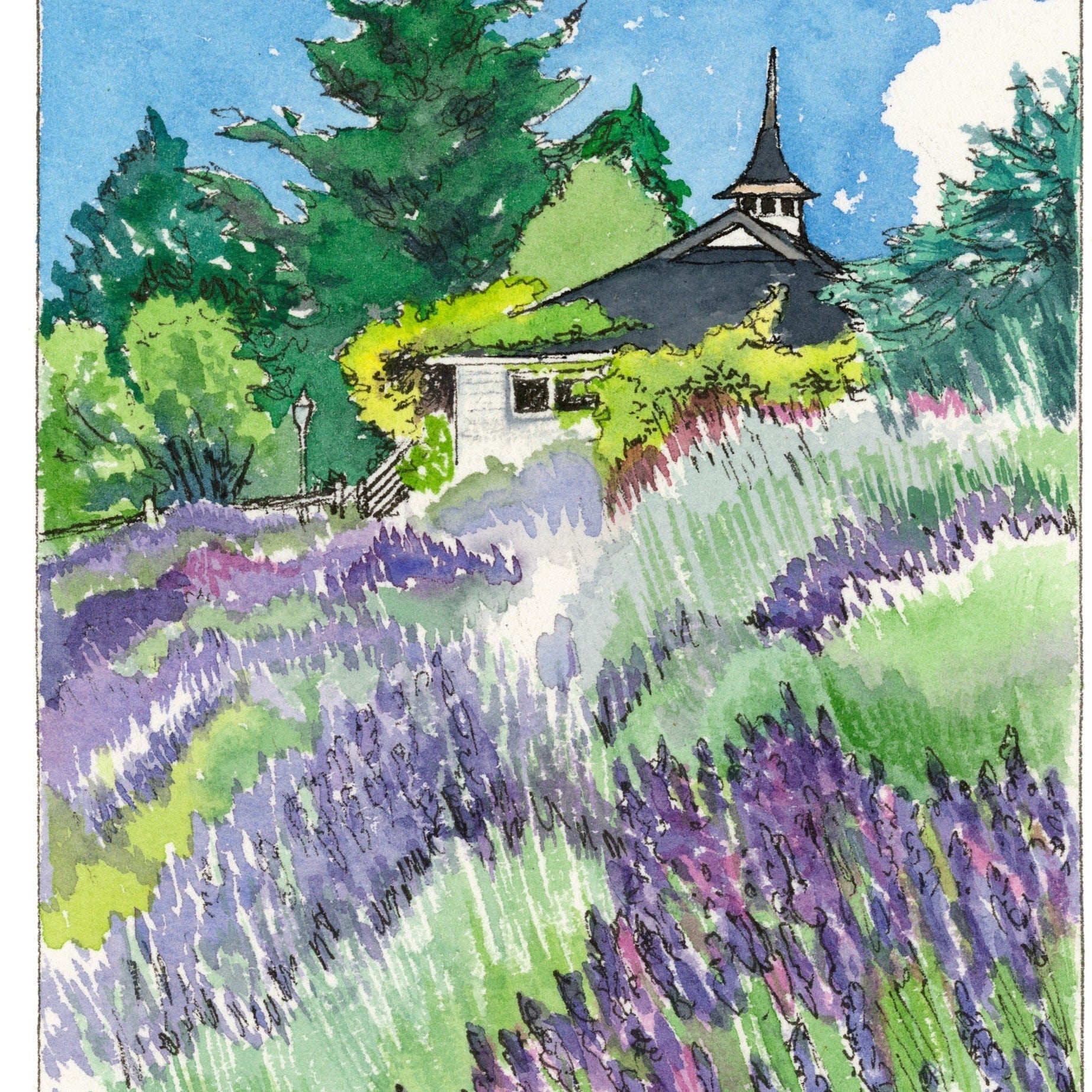Pelindaba Lavender Print - "June at Pelindaba" - Johnston