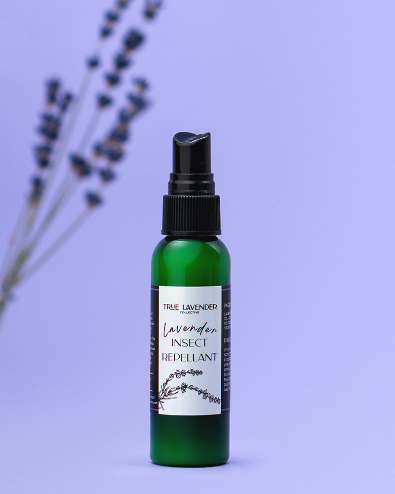 lavender plant bug repellent Lavender Insect Repellant 8 fl oz