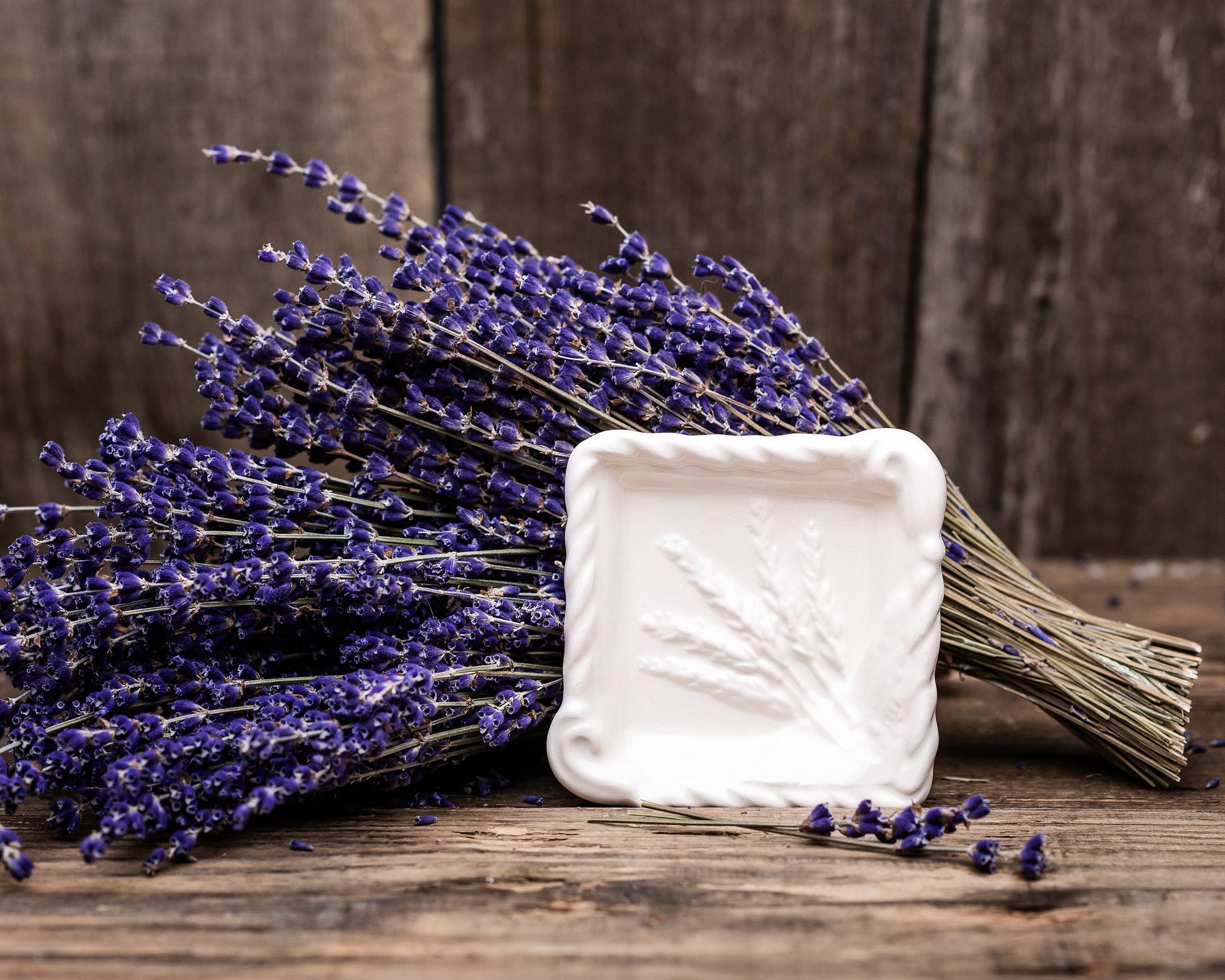 True Lavender Collective White Lavender Petite Dish