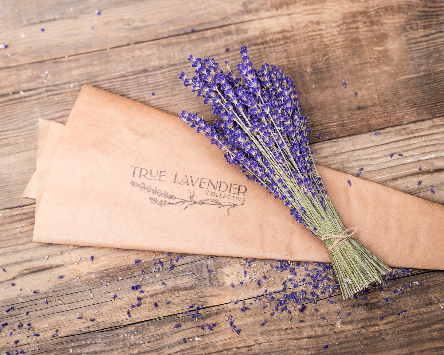 folgate lavender plants for sale Dried Lavender Bundle