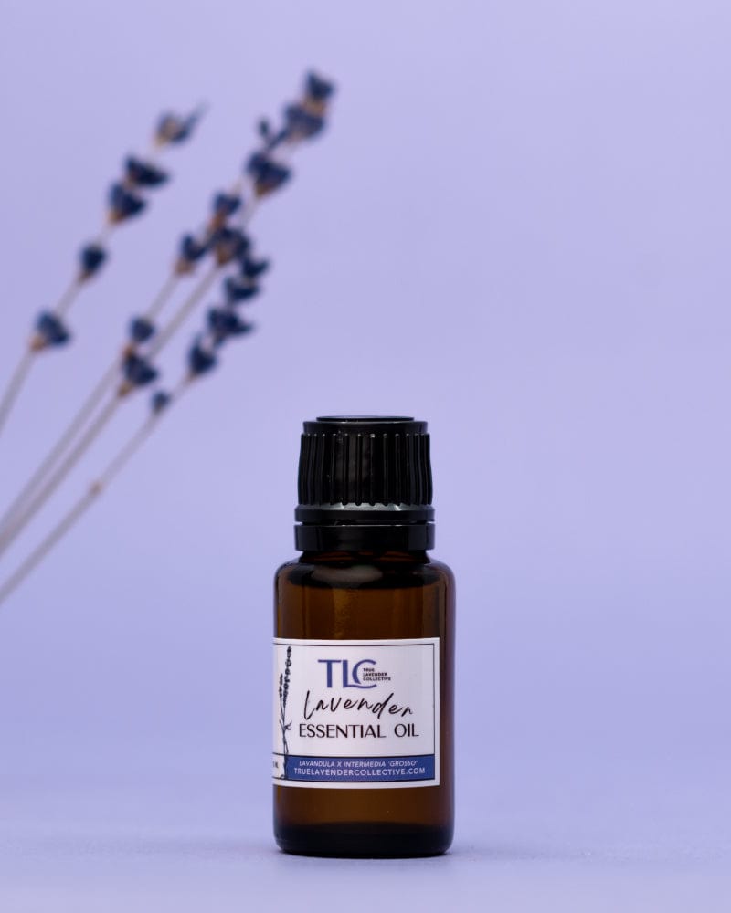 True Lavender Collective 15 ML Lavender Essential Oil 'Grosso'