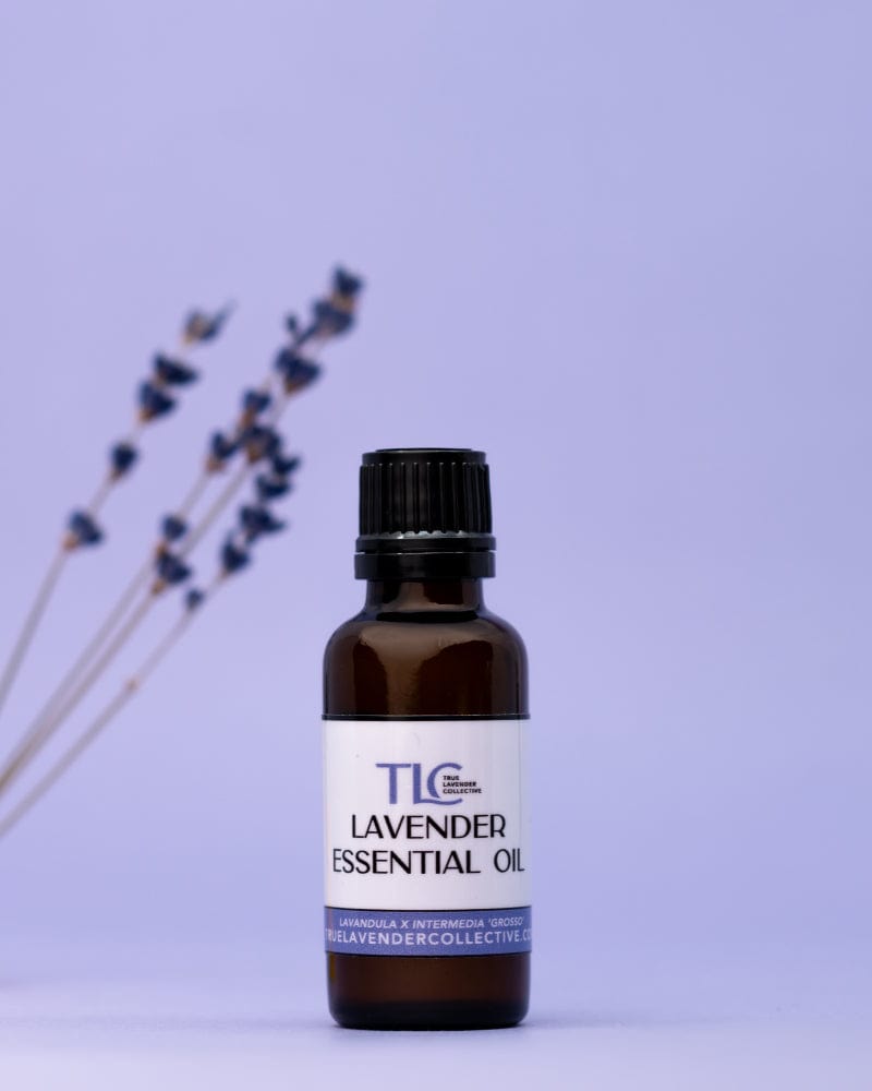 True Lavender Collective 30 ML Lavender Essential Oil 'Grosso'