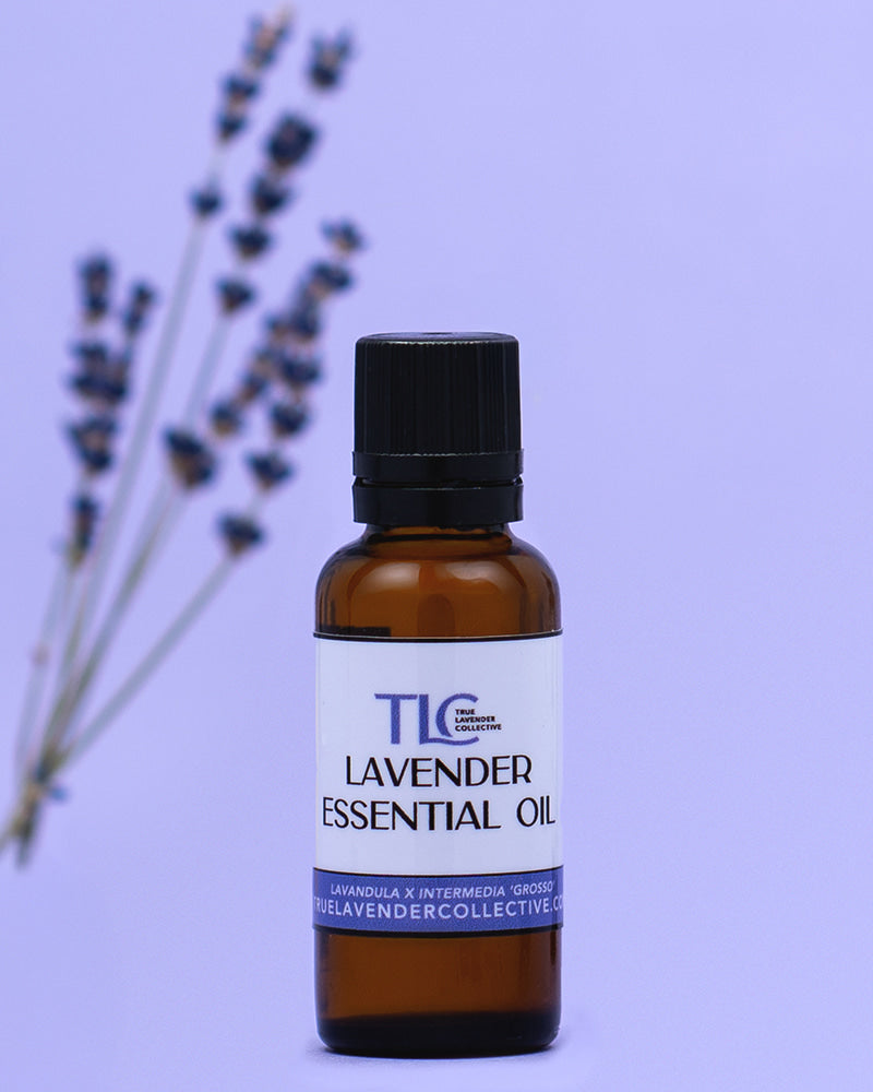True Lavender Collective 30 ml Lavender Essential Oil 'Grosso' 30ml