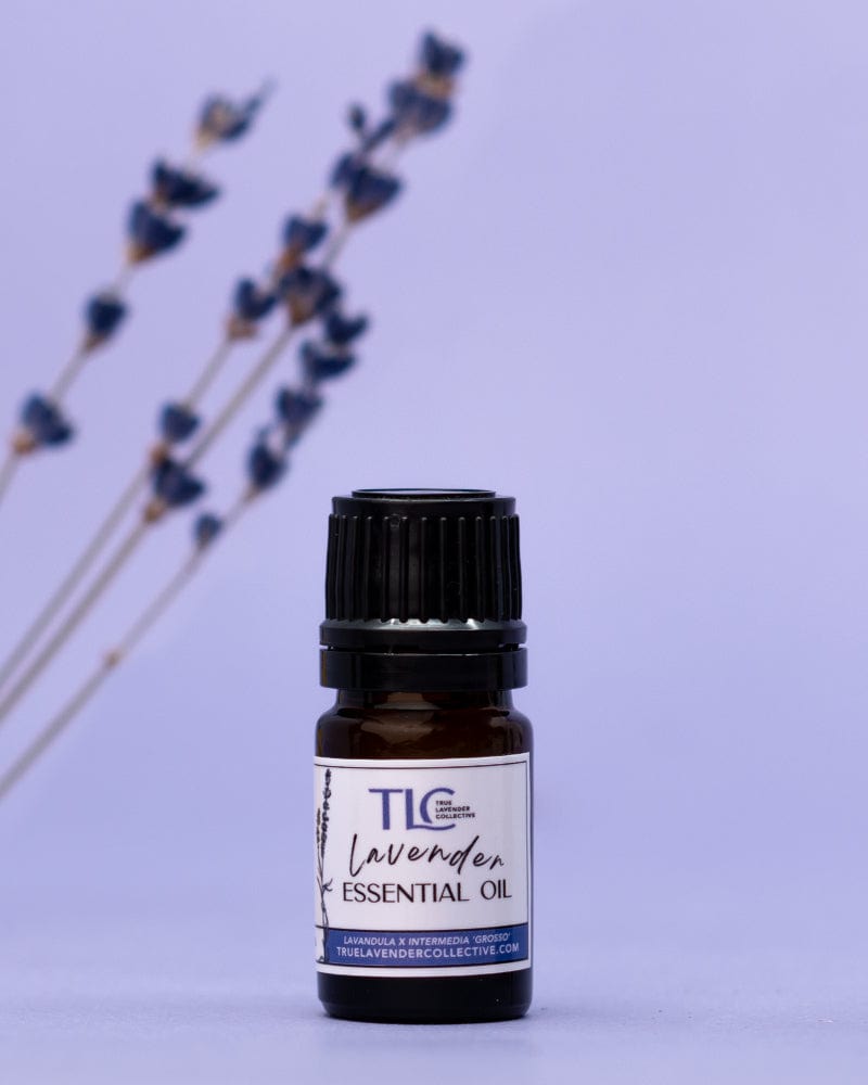 True Lavender Collective 5 ML Lavender Essential Oil 'Grosso'