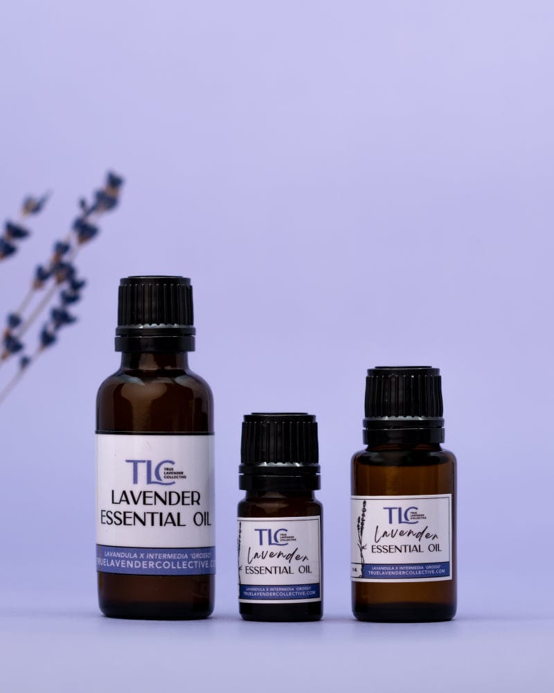 True Lavender Collective Lavender Essential Oil 'Grosso'