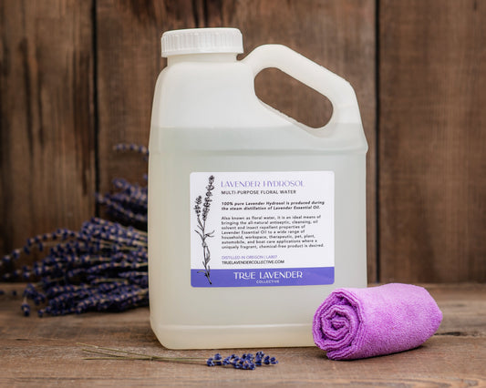 True Lavender Collective 1 Gallon Lavender Hydrosol 'Grosso'