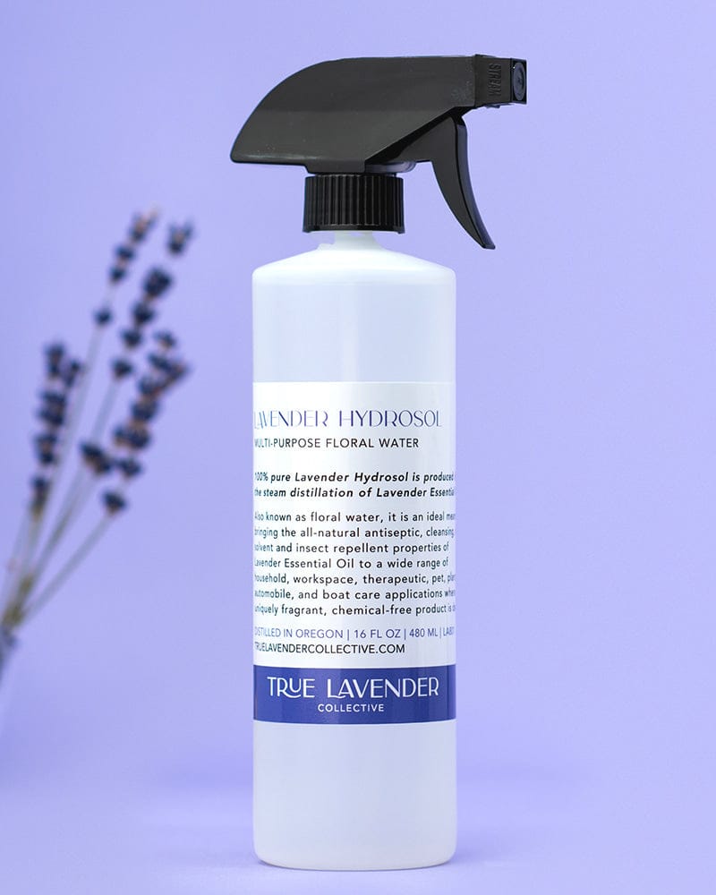 True Lavender Collective 16 fl oz Lavender Hydrosol 'Grosso'