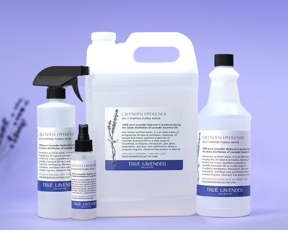 True Lavender Collective Lavender Hydrosol 'Grosso'