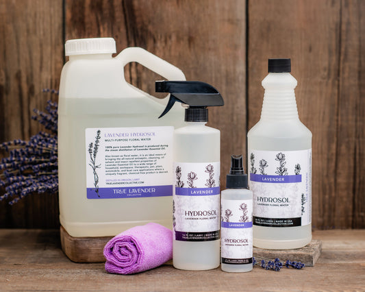 True Lavender Collective Lavender Hydrosol 'Grosso'